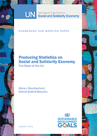 Producing Statistics on Social and Solidarity Economy: The State of the Art