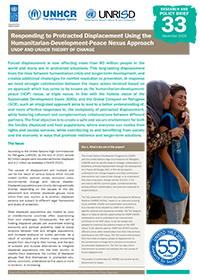 Responding to Protracted Displacement Using the Humanitarian-Development-Peace Nexus Approach: UNDP and UNHCR Theory of Change—Research and Policy Brief